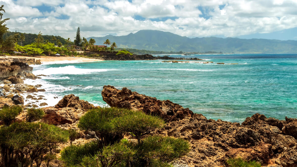 Expert Travel Guides to 11 of the Best Beaches in Oahu, Hawaii