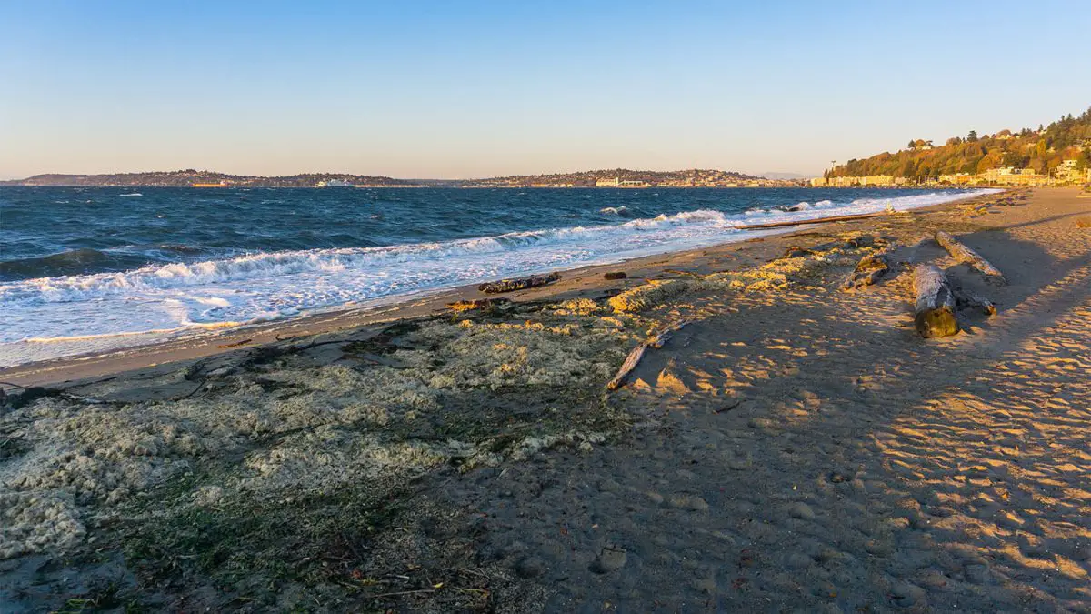 Alki Beach shoreline in West Seattle