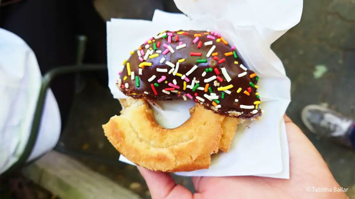 Donut with chocolate icing and multicolour sprinkles